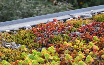 the cost of Pwll Y Glaw green roof installation